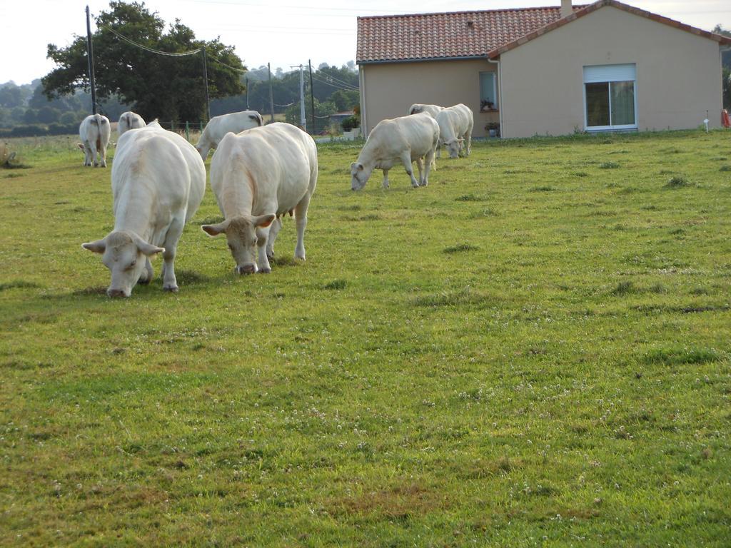 Chambre D'Hotes La Basse Gougeonniere Neuvy-en-Mauges Exteriör bild